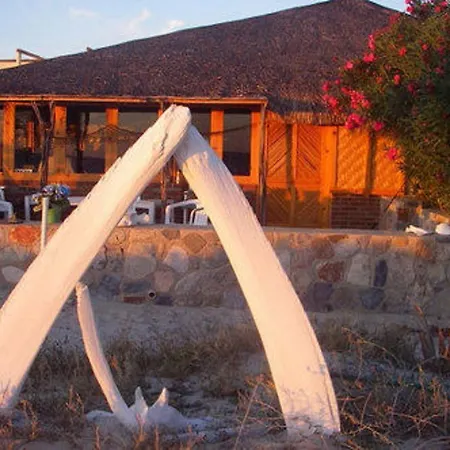 Cabo Pulmo Eco Palapa A Gated Resort On Punta Los Mangles